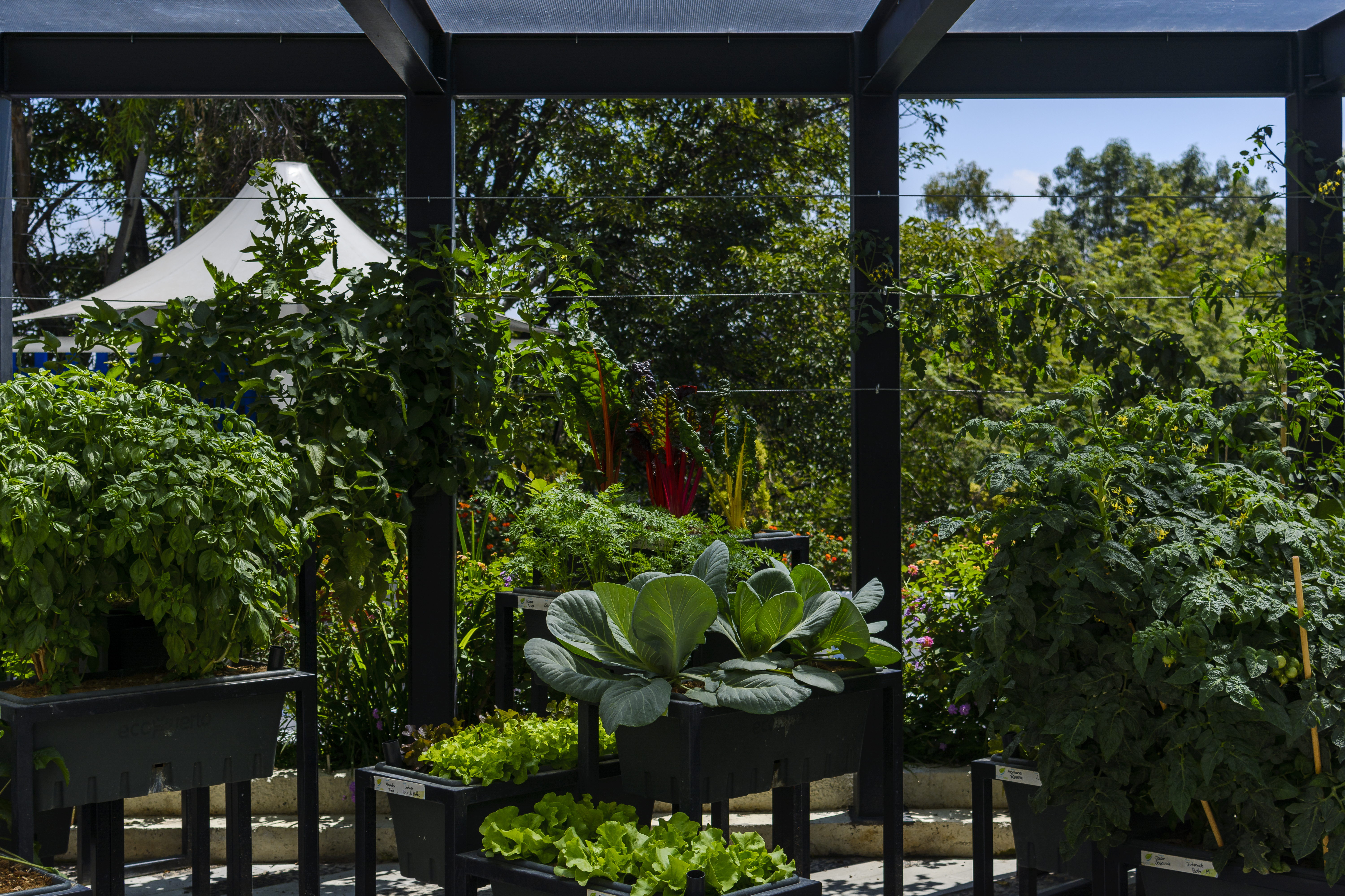 Comedor Confidencial